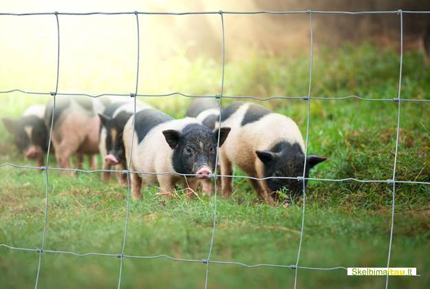 Agro tvoros  žemes ūkiui montavimas