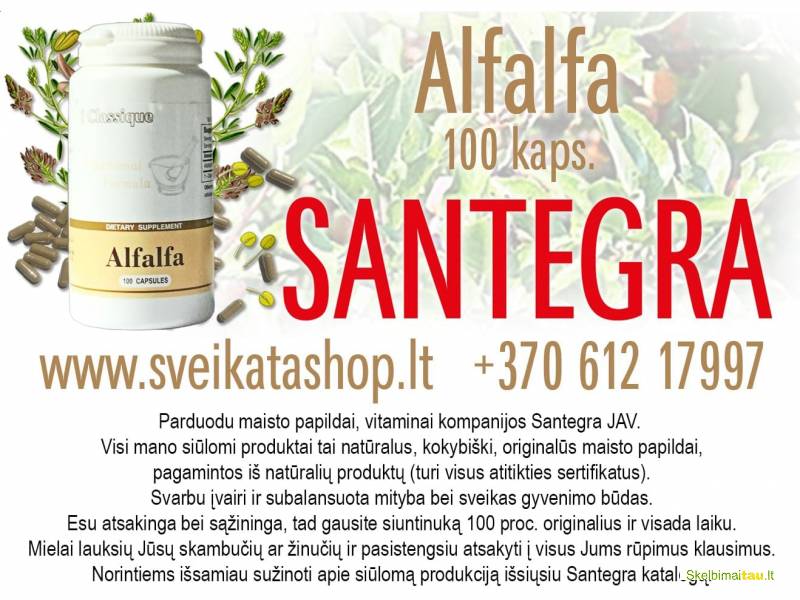 Alfalfa 100 kaps -  maisto papildas santegra / mob 8 612 17