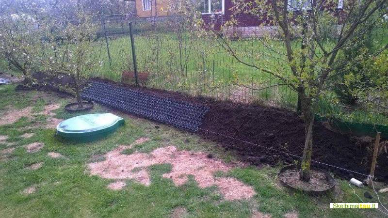 Apsauginis vejos korys