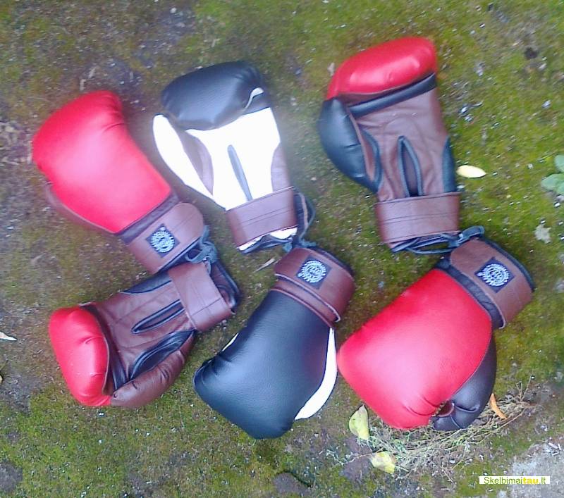 Bokso pirštinės nuo 20 eurų vilniuje...