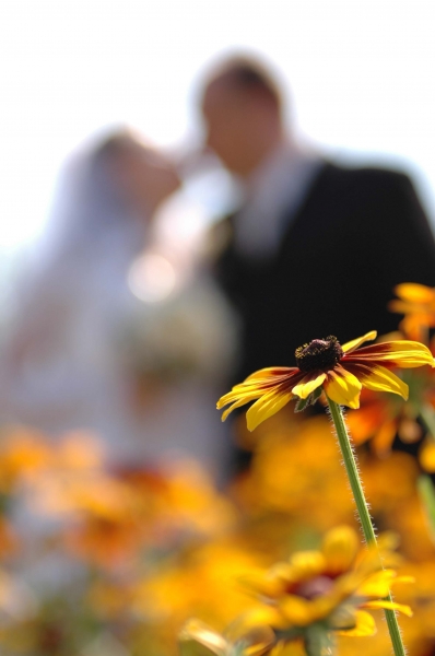 Vestuvių fotografai, vaizdo operatoriai ir kt.