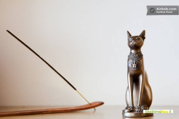 Stilingo buto nuoma kaune