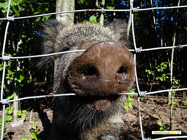 Tvoros žemės ūkiui