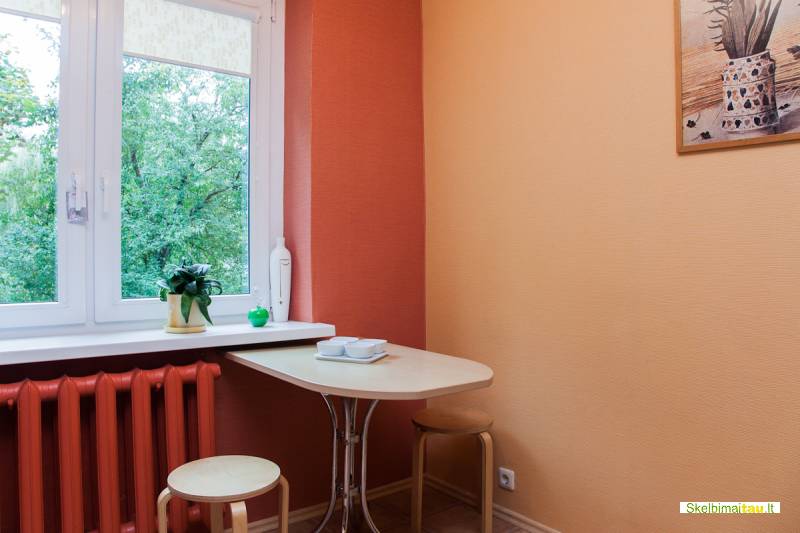 Šiuolaikiškai įrengto buto nuoma kaune