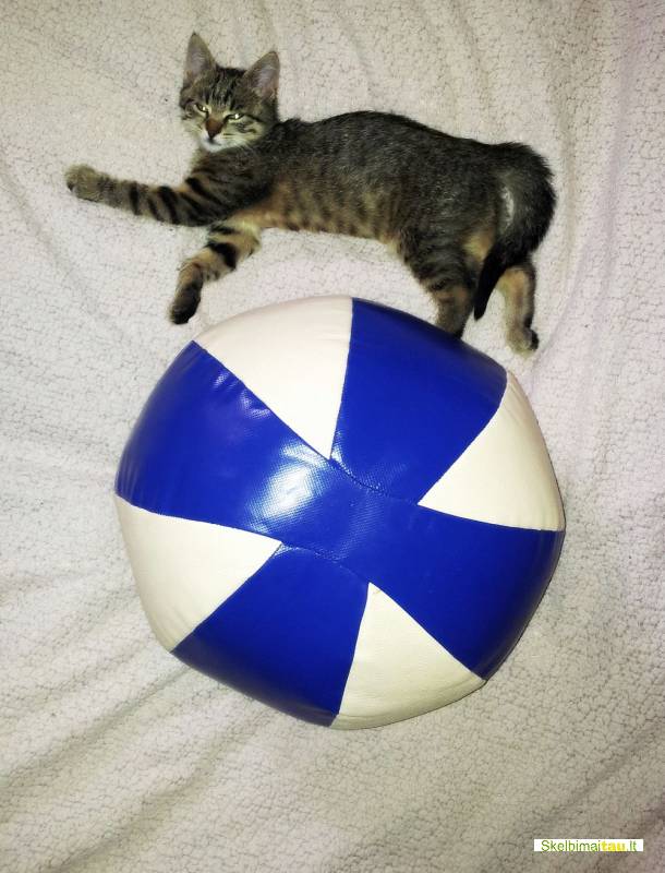 Kimšti kamuoliai,kamuoliai kimštiniai,medicine ball