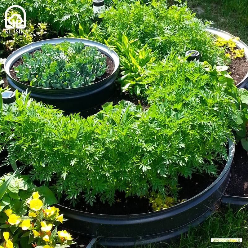 Metalinė užtvarėlė medeliams, krūmams, gėlynams