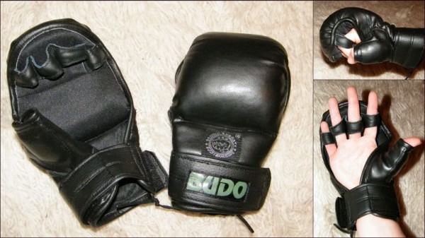 Pirštinės kombat sambo, bušido