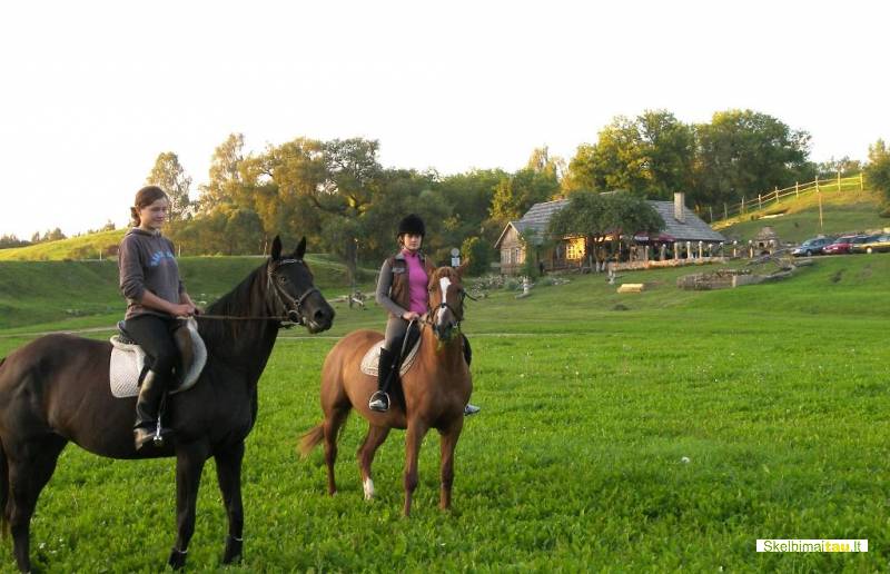 Poilsis kaimo turizmo sodyboje pakalnė raseinių rajone