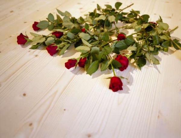 Skandinaviškos dailylentės, grindlentės, apvadai ir kt.