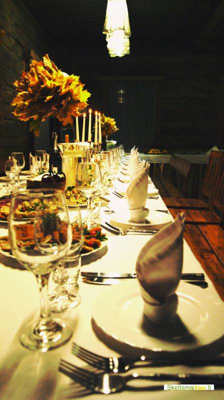 Sodybos nuoma šventėms, pramogos prie dubysos