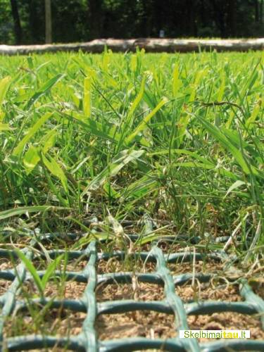 Tr flex žemės sustiprinimo tinklas