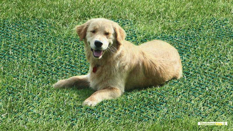 Tr flex žemės sustiprinimo tinklas