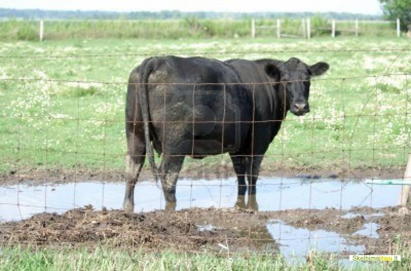 Tvoros namans , žemes ūkiui montavimas