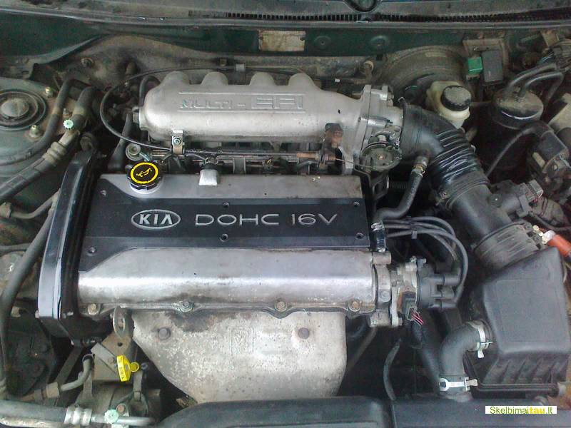 Dalimis - kia clarus 1998 2.0l 1998cm3 98kw benzinas mechani