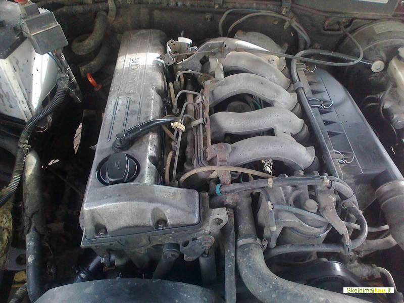 Dalimis - ssangyong musso 1996 2.9l 2874cm3 73kw dyzelinas m