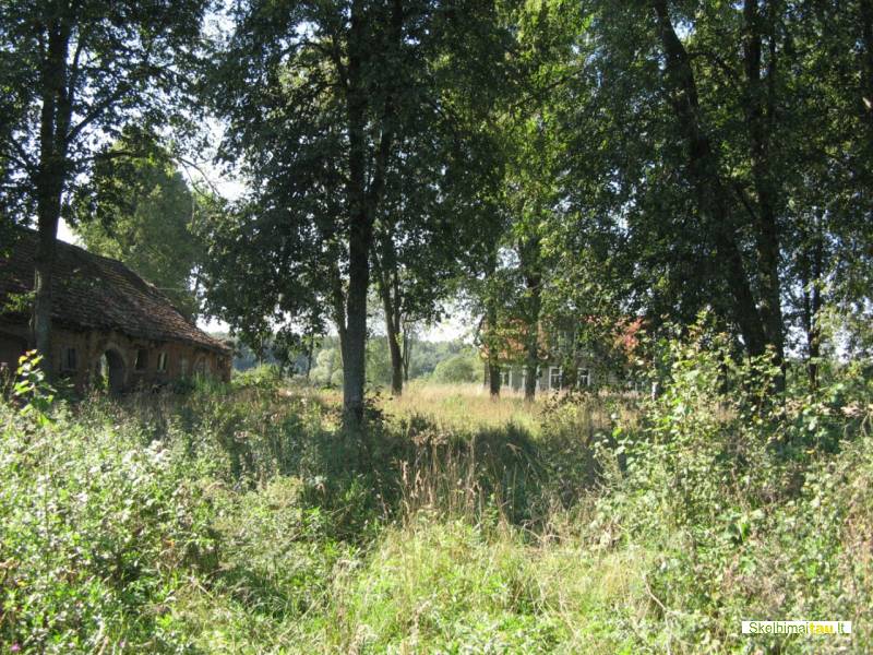 Unikali sodyba anykščių r. 37500 lt.