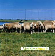 Vielos tinklas avių,elnių aptvarams