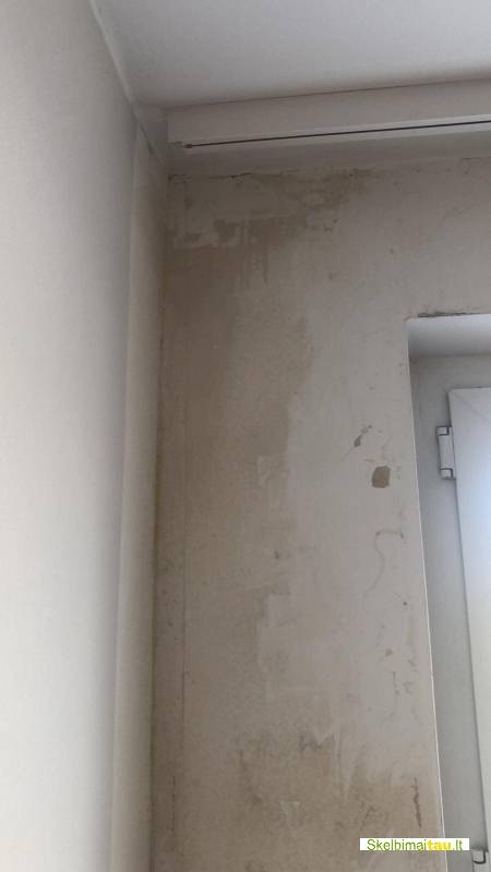 Profesionalus pelėsio naikinimas