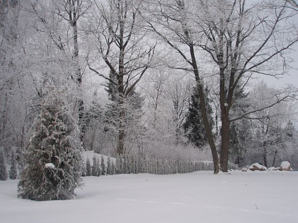 Sklypas Vilniuje. Puikūs sklypai tik 2 km. iki Vilniaus!