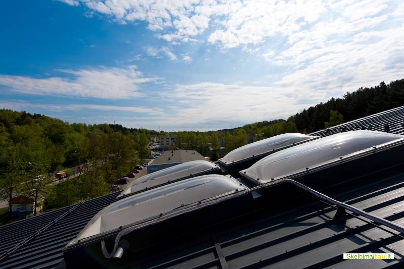 Virtualus biuras, įmonių registravimas, administravimo, kt.