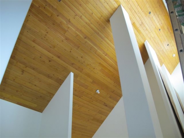 Šiaurinės eglės, pušies dailylentes vidaus ir lauko apdaila