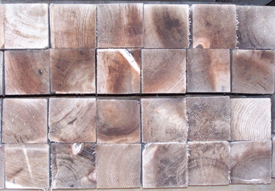 Šiaurinės eglės, pušies dailylentes vidaus ir lauko apdaila