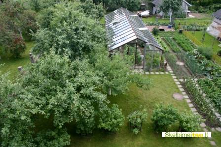 Namas siauliuose ,medelyne be tarpininku /tinka 2 seimom/