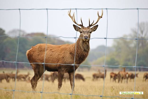 Tvoros,aptverai žemės ūkiui
