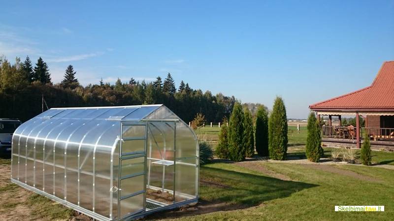 Šiltnamis standart klasika tiesiai iš gamintojo
