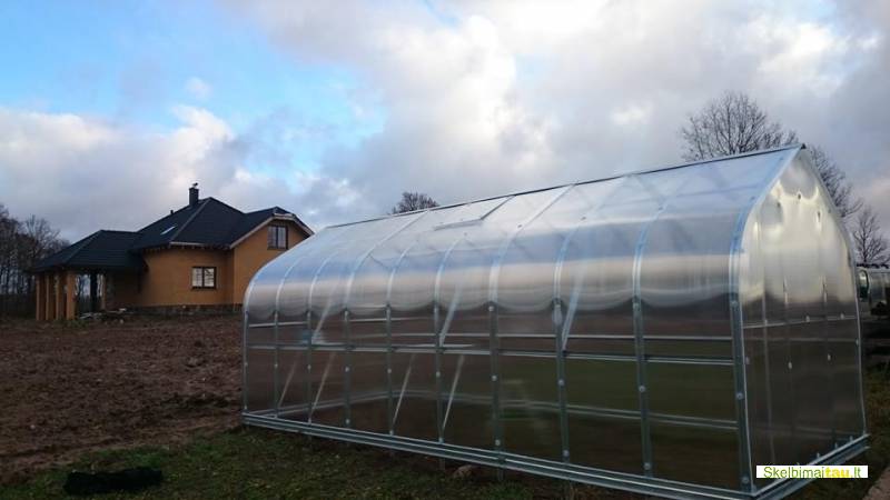 Šiltnamis standart klasika tiesiai iš gamintojo