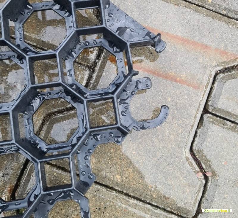 Žolės - vejos korys išpardavimas