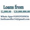 Urgent loan offer apply now