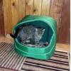 Katės namas,namelis katei,cats home,katino namelis 15 eur