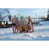 Sodybos nuoma vestuvems, pobūviams, poilsiui - - -