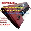 Manualai yamaha, korg , roland casio firmos instrumentam.